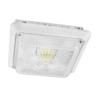 Lámparas del toldo de la cocina 120V 40W 5000K IP65 LED